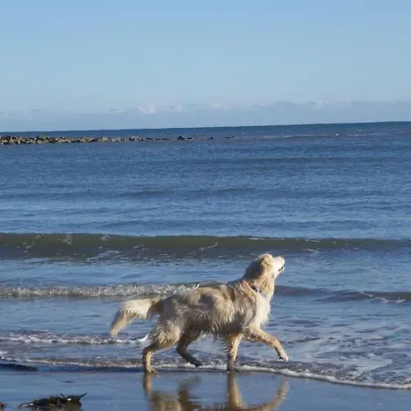 Hébergement de vacances Blacksmith's Barn - Cosy, Chilled & Dog Friendly. Wykeham (Scarborough)