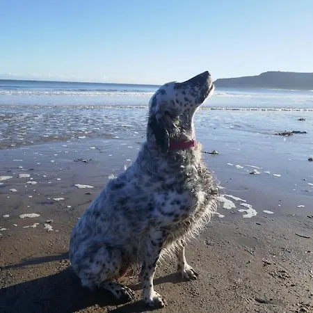 Blacksmith's Barn - Cosy, Chilled & Dog Friendly. Hébergement de vacances