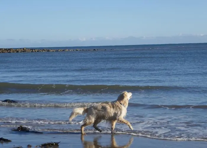 Сasa de vacaciones Blacksmith's Barn - Cosy, Chilled & Dog Friendly. Wykeham (Scarborough)