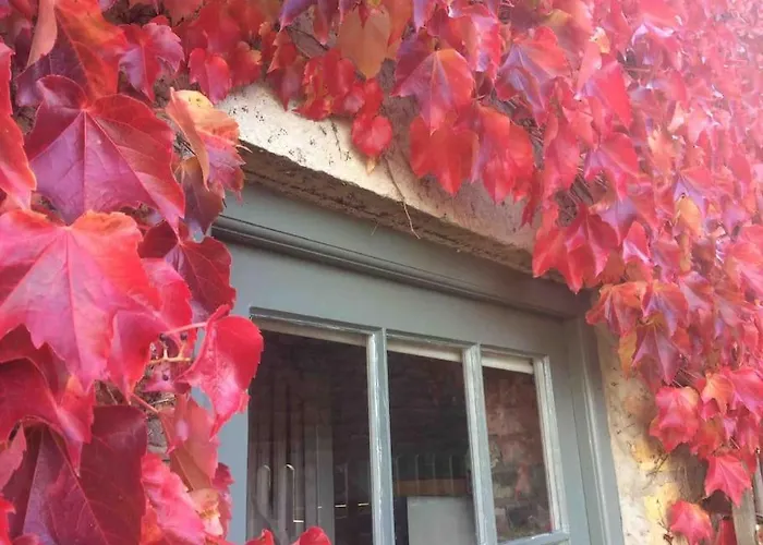 Сasa de vacaciones Blacksmith's Barn - Cosy, Chilled & Dog Friendly. *